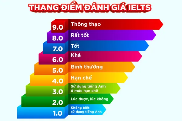 Chart assessing English proficiency via IELTS scores