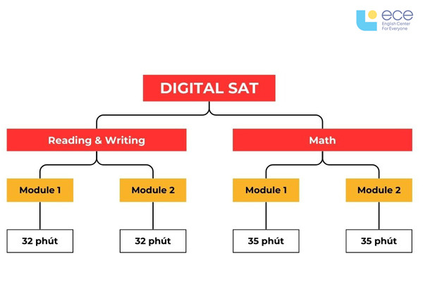 Cấu trúc bài thi SAT hoàn chỉnh