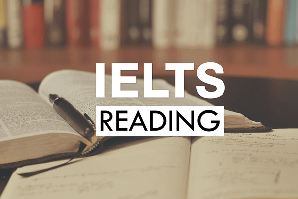 Lộ trình luyện IELTS Reading cho người mất gốc