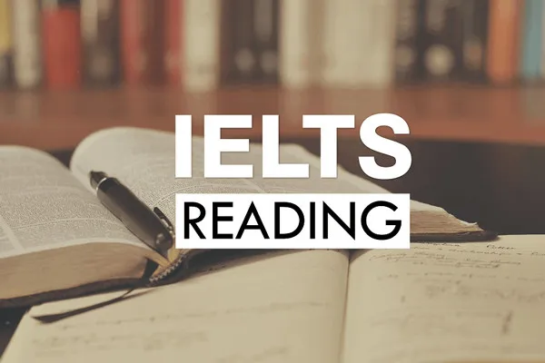 IELTS Reading roadmap for beginners