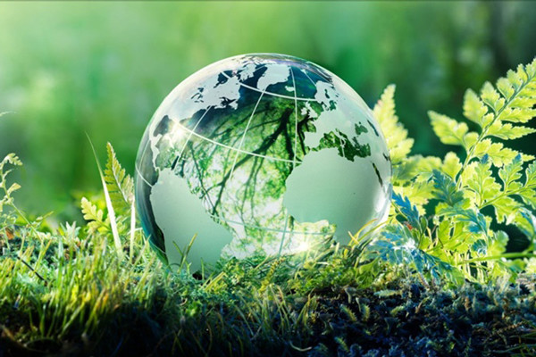 Từ vựng SAT chủ đề môi trường và phát triển bền vững