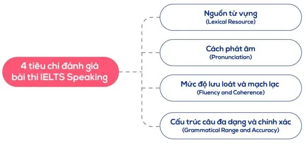 A detailed look at the 4 IELTS Speaking assessment criteria