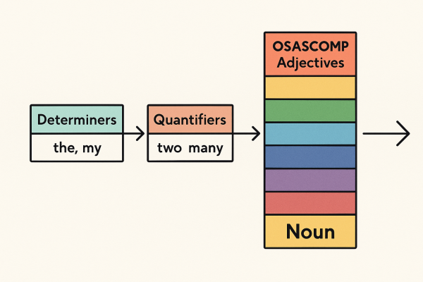 Vị trí của từ hạn định & lượng từ trong cụm tính từ