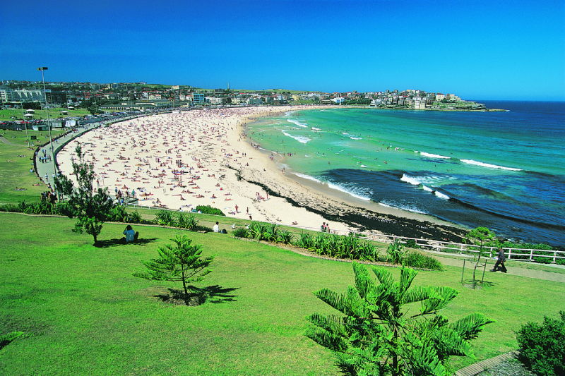 Bondi Beach IELTS Reading