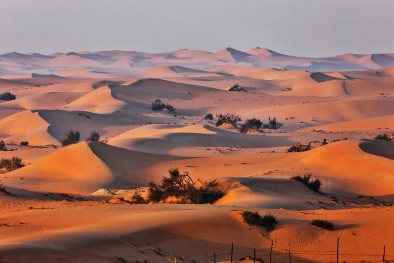 Sand Dunes IELTS Reading