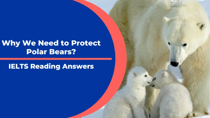 Why we need to protect polar bears