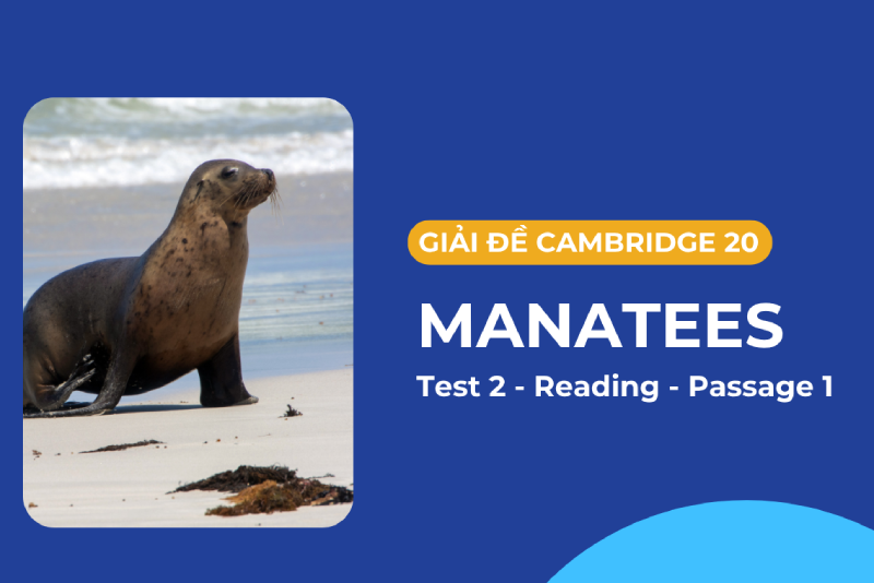 Cambridge 20 - Test 2, Reading Passage 1: Manatees