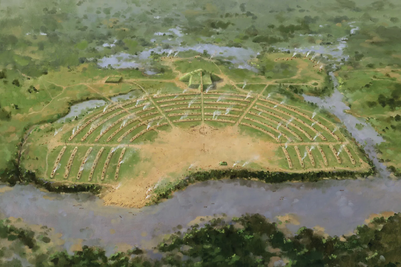 Team Building IELTS Reading