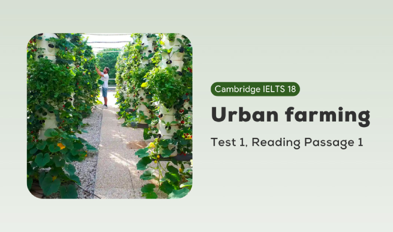 Urban Farming IELTS Reading