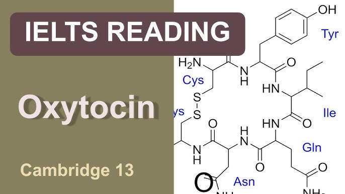 Oxytocin IELTS Reading