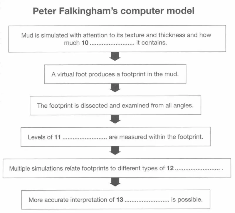 Peter Falkingham's computer model