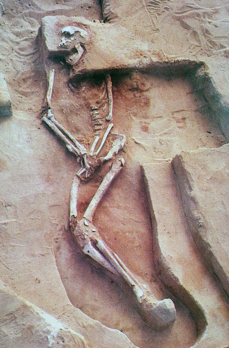 Mungo Man IELTS Reading