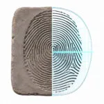 A History of Fingerprinting IELTS Reading: Passage Translation & Answer Key