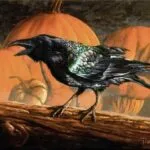 IELTS Reading Explanation: Crows can be craftsmen too (Translation & Answers)
